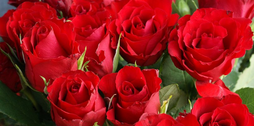 Far durare le rose