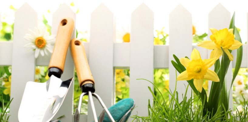 Giardinaggio, quali sono gli attrezzi necessari?