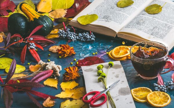 autumn mood 1229981 1280 coltivare facile