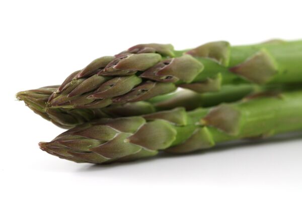 Coltivare gli asparagi 3 appetite 2039 1280 coltivare facile