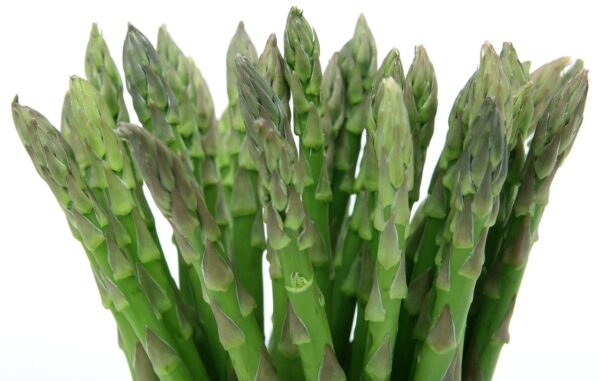 Coltivare gli asparagi 2 asparagus 1239162 1280 coltivare facile