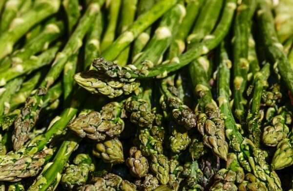 Coltivare gli asparagi 1 asparagus 3440348 1280 coltivare facile