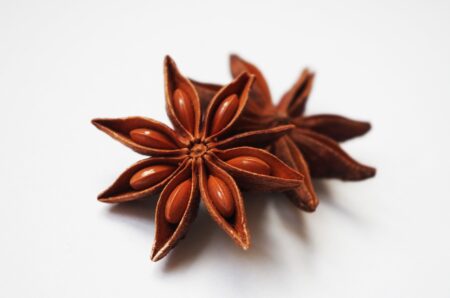 star anise 1049585 1280 coltivare facile