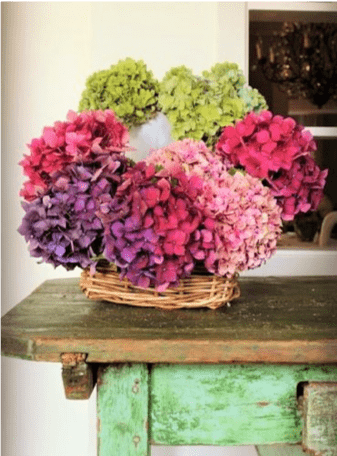 cesto di ortensie