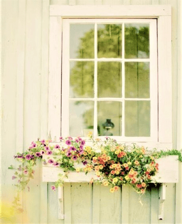 Finestra con vaso di legno e fiori colorati