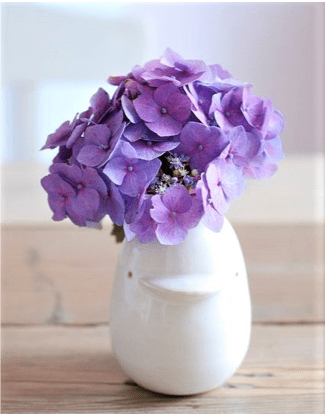 Vasetto bianco con ortensia viola