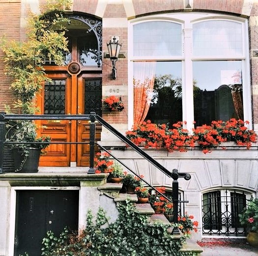 Geranio parigino 9 casa pargina di città con fiori