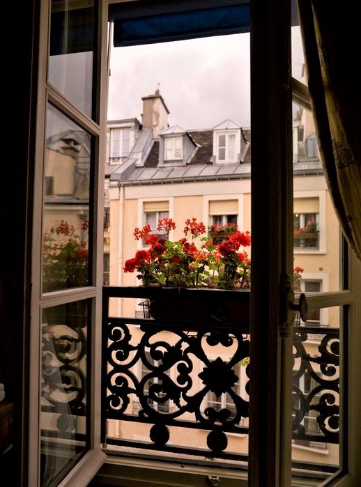 Geranio parigino 3 vista di parigi con gerani