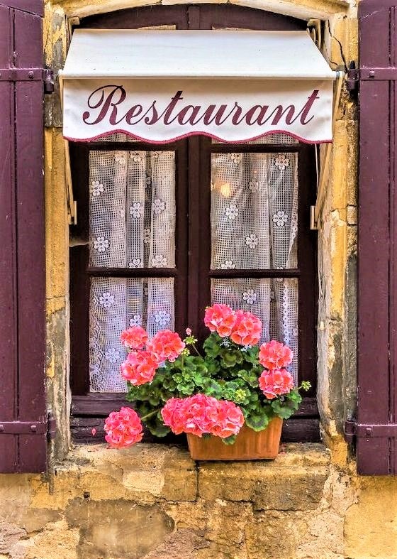 Geranio parigino 11 finestra di un ristorante parigino con fiori fuxia
