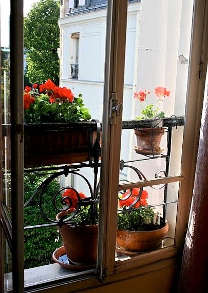 gerani parigini rossi su balcone