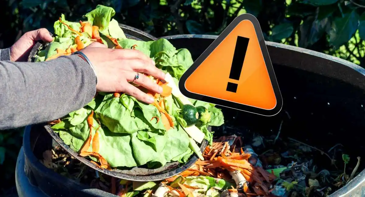 cosa mettere nel compost