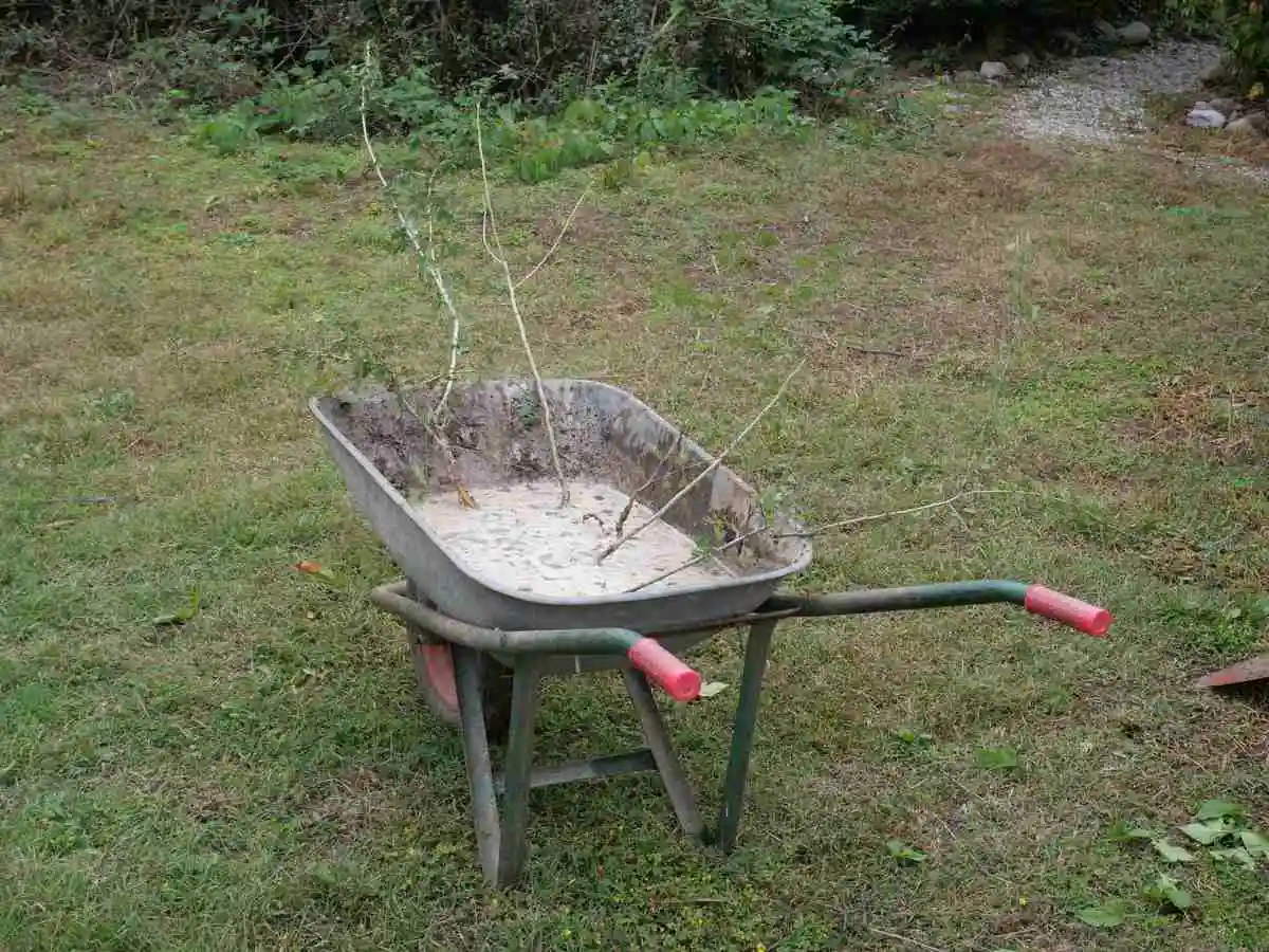 Inzaffardatura: come piantare alberi 3 come piantare alberi con la zaffardatura