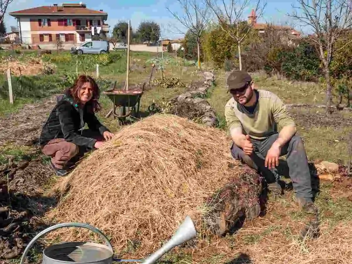 coltivazione sinergica