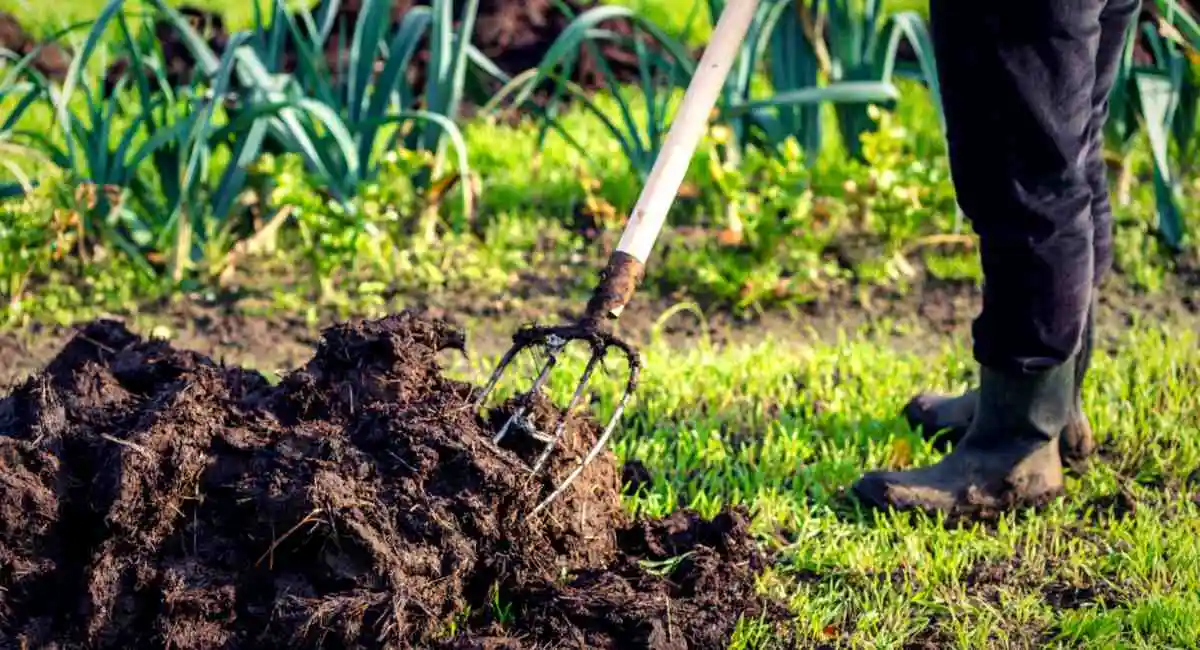 concimazione di fondo autunnale