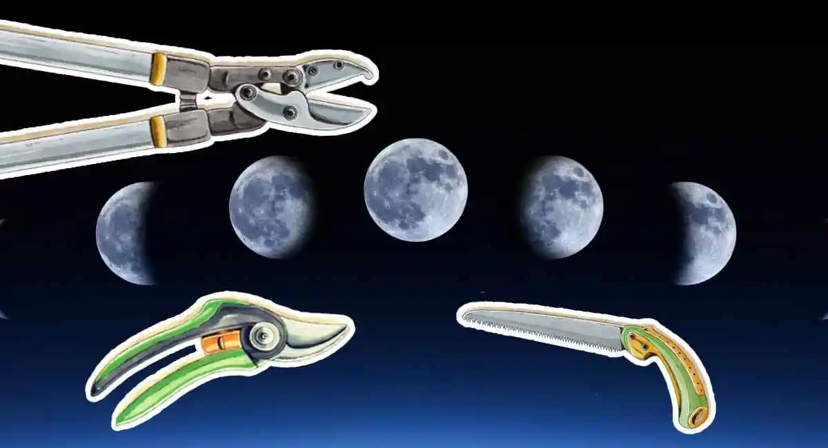 in che luna si pota